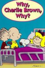Watch Why Charlie Brown Why Nowvideo