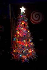 Watch O' Christmas Tree Nowvideo