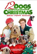 Watch 12 Dogs of Christmas: Great Puppy Rescue Nowvideo