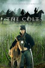 Watch The Colt Nowvideo