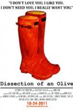 Watch Dissection of an Olive Nowvideo
