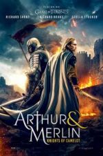 Watch Arthur & Merlin: Knights of Camelot Nowvideo