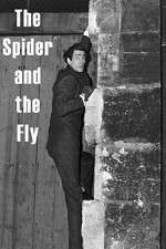 Watch The Spider and the Fly Nowvideo