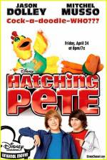 Watch Hatching Pete Nowvideo
