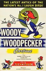 Watch The Woody Woodpecker Polka Nowvideo