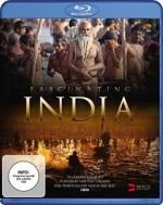 Watch Fascinating India 3D Nowvideo