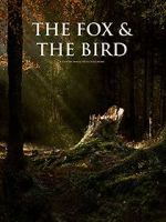 Watch The Fox and the Bird (Short 2019) Nowvideo