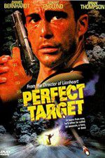 Watch Perfect Target Nowvideo