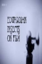 Watch Edwardian Insects on Film Nowvideo
