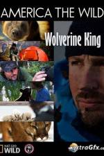 Watch National Geographic Wild America the Wild Wolverine King Nowvideo