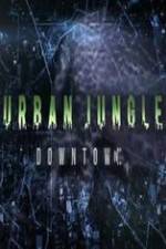 Watch National Geographic Wild Urban Jungle Downtown Nowvideo