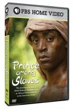 Watch Prince Among Slaves Nowvideo
