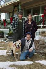 Watch Hallmark Hall of Fame A Dog Named Christmas Nowvideo