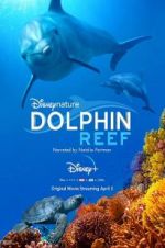 Watch Dolphin Reef Nowvideo