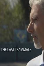 Watch Senna The Last Teammate Nowvideo