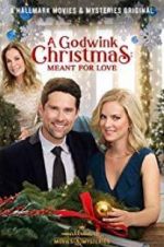 Watch A Godwink Christmas: Meant for Love Nowvideo