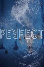 Watch Perfect Nowvideo