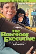 Watch The Barefoot Executive Nowvideo