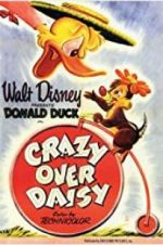 Watch Crazy Over Daisy Nowvideo