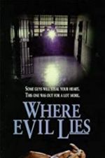 Watch Where Evil Lies Nowvideo