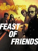 Watch Feast of Friends Nowvideo