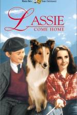 Watch Lassie Come Home Nowvideo