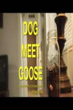 Watch Dog Meet Goose Nowvideo