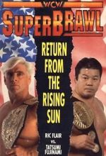 Watch WCW SuperBrawl I Nowvideo