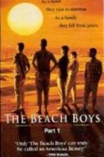 Watch The Beach Boys An American Family Nowvideo