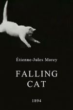 Watch Falling Cat Nowvideo