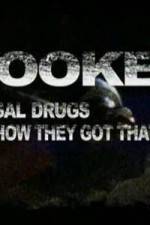 Watch Hooked: Illegal Drugs and How They Got That Way - Cocaine Nowvideo