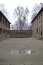Watch Made in Auschwitz: The Untold Story of Block 10 Nowvideo