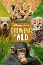 Watch Growing Up Wild Nowvideo
