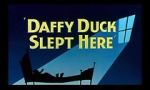 Watch Daffy Duck Slept Here (Short 1948) Nowvideo