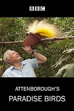 Watch Attenborough's Paradise Birds Nowvideo