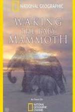 Watch Waking the Baby Mammoth Nowvideo