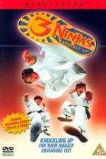 Watch 3 Ninjas Knuckle Up Nowvideo