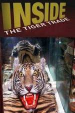 Watch Inside: The Tiger Trade Nowvideo