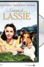 Watch Courage of Lassie Nowvideo