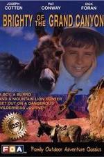 Watch Brighty of the Grand Canyon Nowvideo