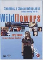 Watch Wildflowers Nowvideo