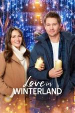 Watch Love in Winterland Nowvideo
