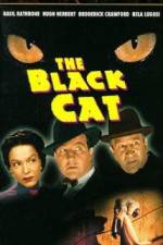 Watch The Black Cat Nowvideo