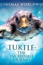 Watch Turtle The Incredible Journey Nowvideo