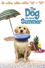 Watch The Dog Who Saved Summer Nowvideo
