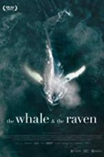 Watch The Whale and the Raven Nowvideo