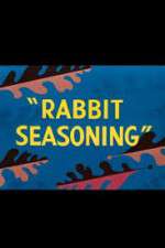 Watch Rabbit Seasoning Nowvideo