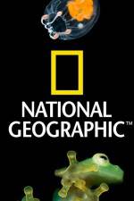 Watch National Geographic Wild Dam Beavers Nowvideo