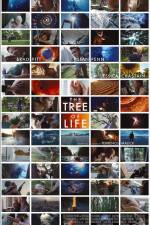 Watch The Tree of Life Nowvideo