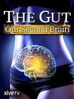 Watch The Gut: Our Second Brain Nowvideo